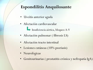 Espondilitis Anquilosante
• Uveítis anterior aguda
• Afectación cardiovascular
• Afectación pulmonar ( fibrosis LS)
• Afectación tracto intestinal
Insuficiencia aórtica, bloqueo A-V
• Lesiones cutáneas (10% psoriasis)
• Neurológicas
• Genitourinarias ( prostatitis crónica y nefropatía IgA)
 