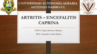 ARTRITIS – ENCEFALITIS
CAPRINA
EMVZ: Edgar Martinez Márquez
MVZ: Alejandro Cabral Martel
UNIVERSIDAD AUTÓNOMA AGRARIA
ANTONIO NARRO-UL
 