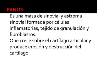 PANUS:
Es una masa de sinovial y estroma
sinovial formada por células
inflamatorias, tejido de granulación y
fibroblastos.
Que crece sobre el cartílago articular y
produce erosión y destrucción del
cartílago

 