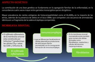 Aspecto genético
La contribución de una base genética se fundamenta en la agregación familiar de la enfermedad, en la
concordancia cuatro veces mayor entre gemelos monocigótos que en dicigóticos .

Mayor prevalencia de ciertos antígenos de histocompatibilidad como el HLADR4 en la mayoría de las
etnias, además de la presencia de alelos en el locus DRB1 que comparten una secuencia de aminoácidos
idéntica en un fragmento de la cadena b (epítopo compartido).

membrana sinovial
• El infiltrado inflamatorio
de la membrana sinovial
esta constituido por
linfocitos T (predominan
las células CD4+ sobre
las CD8+), linfocitos B,

El infiltrado
inflamatorio

inmunocomplejos
• que se diferencian localmente en
células plasmáticas productoras
de anticuerpos (factor
reumatoide) con la consiguiente
formación de inmunocomplejos.

• En la membrana sinovial
reumatoide existe también
gran numero de células
activadas como
fibroblastos, mastocitos y
células del estroma
mesenquimatoso.

fibroblastos

 