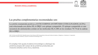 Revisión clínica y académica.
Las pruebas complementarias recomendadas son:
La artritis reumatoide positiva a ANTICUERPOS ANTIPÉTIDO CITRULINADOS (ACPA)
está relacionada con alelos HLA-DRβ1 con epítope compartido. El epítope compartido es una
secuencia de aminoácidos común en las moléculas HLA-DR en los residuos 70-74 de la cadena
HLA-DRβ1.
DOI: 10.1016/j.rcreu.2023.02.001- Disponible online el 28 de Febrero de 2023-Guía de práctica clínica para la detección temprana, el diagnóstico, el tratamiento y el seguimiento
de los pacientes con artritis reumatoide. Asociación Colombiana de Reumatología, 2022
El complejo HLA ayuda al sistema inmunológico a distinguir las
proteínas propias del cuerpo de las proteínas producidas por
invasores extraños como virus y bacterias.
 