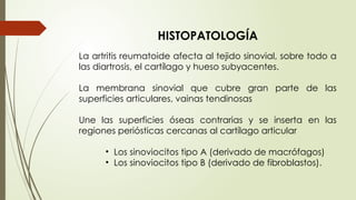 HISTOPATOLOGÍA
La artritis reumatoide afecta al tejido sinovial, sobre todo a
las diartrosis, el cartílago y hueso subyacentes.
La membrana sinovial que cubre gran parte de las
superficies articulares, vainas tendinosas
Une las superficies óseas contrarias y se inserta en las
regiones periósticas cercanas al cartílago articular
• Los sinoviocitos tipo A (derivado de macrófagos)
• Los sinoviocitos tipo B (derivado de fibroblastos).
 