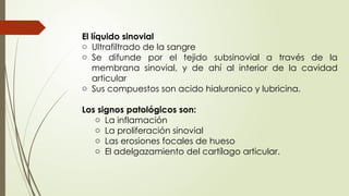 El líquido sinovial
o Ultrafiltrado de la sangre
o Se difunde por el tejido subsinovial a través de la
membrana sinovial, y de ahí al interior de la cavidad
articular
o Sus compuestos son acido hialuronico y lubricina.
Los signos patológicos son:
o La inflamación
o La proliferación sinovial
o Las erosiones focales de hueso
o El adelgazamiento del cartílago articular.
 