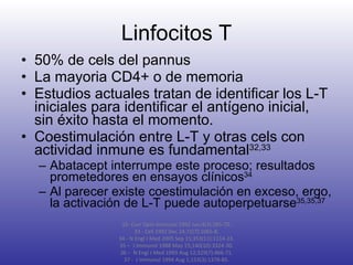 Linfocitos T 50% de cels del pannus La mayoria CD4+ o de memoria Estudios actuales tratan de identificar los L-T iniciales para identificar el antígeno inicial, sin éxito hasta el momento. Coestimulación entre L-T y otras cels con actividad inmune es fundamental 32,33 Abatacept interrumpe este proceso; resultados prometedores en ensayos clínicos 34 Al parecer existe coestimulación en exceso, ergo, la activación de L-T puede autoperpetuarse 35,35,37 32-  Curr Opin Immunol 1992 Jun;4(3):265-70. 33 - Cell 1992 Dec 24;71(7):1065-8. 34 - N Engl J Med 2005 Sep 15;353(11):1114-23. 35 –  J Immunol 1988 May 15;140(10):3324-30. 36 –  N Engl J Med 1993 Aug 12;329(7):466-71. 37 -  J Immunol 1994 Aug 1;153(3):1378-85. 