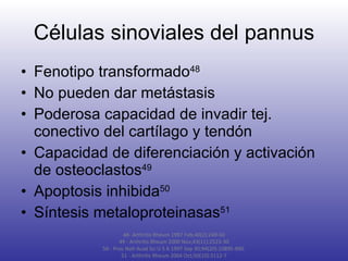 Células sinoviales del pannus Fenotipo transformado 48 No pueden dar metástasis Poderosa capacidad de invadir tej. conectivo del cartílago y tendón Capacidad de diferenciación y activación de osteoclastos 49 Apoptosis inhibida 50 Síntesis metaloproteinasas 51   48-  Arthritis Rheum 1997 Feb;40(2):249-60 49 - Arthritis Rheum 2000 Nov;43(11):2523-30 50 -  Proc Natl Acad Sci U S A 1997 Sep 30;94(20):10895-900. 51 -  Arthritis Rheum 2004 Oct;50(10):3112-7 