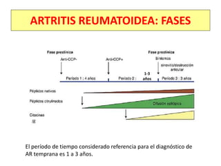 ARTRITIS REUMATOIDEA: FASES
El período de tiempo considerado referencia para el diagnóstico de
AR temprana es 1 a 3 años.
1-3
años
 