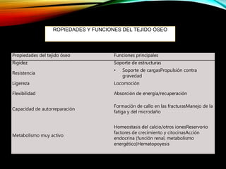 Propiedades del tejido óseo Funciones principales
Rigidez Soporte de estructuras
Resistencia
• Soporte de cargasPropulsión contra
gravedad
Ligereza Locomoción
Flexibilidad Absorción de energía/recuperación
Capacidad de autorreparación
Formación de callo en las fracturasManejo de la
fatiga y del microdaño
Metabolismo muy activo
Homeostasis del calcio/otros ionesReservorio
factores de crecimiento y citocinasAcción
endocrina (función renal, metabolismo
energético)Hematopoyesis
ROPIEDADES Y FUNCIONES DEL TEJIDO ÓSEO
 