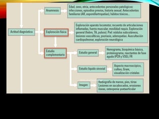 + HISTORIA CLÍNICA
Orina, virus hepatotrópos
 