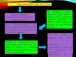 MECANISMO DE ACCIÓN:
Se unen a proteínas
receptoras especificas en el
citoplasma celular.
El complejo receptor-
esteroide migra hacia el
núcleo celular y se une a
regiones especificas del
DNA lo que causa un
en la actividad
cambio
genética.
Los glucocorticoides son
antiinflamatorios en el sentido de
que algunos de los productos de
la expresión genética
Inhiben la modificación de la
transcripción genética y con ello
altera la síntesis de proteínas
reguladoras que actúan sobre las
funciones celulares.
De esta manera se
bloquea ala enzim
a
fosfolipasa A
2
,
responsable de la
araquidónico a partir de
los fosfolípidos de
membrana.
 
