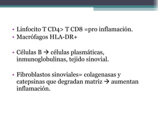 Linfocito T CD4> T CD8 =pro inflamación. Macrófagos HLA-DR+ Células B    células plasmáticas, inmunoglobulinas, tejido sinovial. Fibroblastos sinoviales= colagenasas y catepsinas que degradan matriz    aumentan inflamación. 