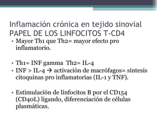 Inflamación crónica en tejido sinovial PAPEL DE LOS LINFOCITOS T-CD4 Mayor Th1 que Th2= mayor efecto pro inflamatorio. Th1= INF gamma  Th2= IL-4 INF > IL-4    activación de macrófagos= síntesis citoquinas pro inflamatorias (IL-1 y TNF). Estimulación de linfocitos B por el CD154 (CD40L) ligando, diferenciación de células plasmáticas. 