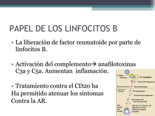 PAPEL DE LOS LINFOCITOS B La liberación de factor reumatoide por parte de linfocitos B. Activación del complemento   anafilotoxinas C3a y C5a. Aumentan  inflamación. Tratamiento contra el CD20 ha Ha permitido atenuar los síntomas Contra la AR. 