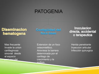 PATOGENIA 
Mas frecuente 
Invade la union 
cartilaginosa 
sinovial desde 
el espacio 
perivascular 
Extension de un foco 
osteomielitico. 
Atraviesa la barrera 
determinada por el 
cartilago de 
crecimiento y la 
epifisis. 
Herida penetrante 
Inyeccion articular 
Infección quirurgica 
 
