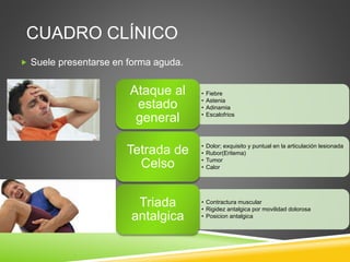 CUADRO CLÍNICO 
 Suele presentarse en forma aguda. 
• Fiebre 
• Astenia 
• Adinamia 
• Escalofrios 
Ataque al 
estado 
general 
• Dolor; exquisito y puntual en la articulación lesionada 
• Rubor(Eritema) 
• Tumor 
• Calor 
Tetrada de 
Celso 
• Contractura muscular 
• Rigidez antalgica por movilidad dolorosa 
• Posicion antalgica 
Triada 
antalgica 
 