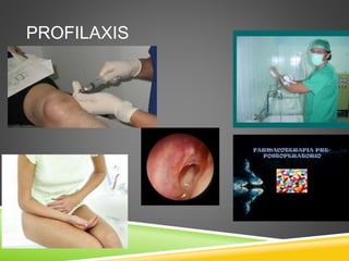 PROFILAXIS 
 
