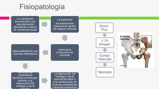 Fisiopatología
La membrana
sinovial tiene una
vascularización
abundante y carece
de membrana basal
La presencia
de endotoxinas
bacterianas dentro
del espacio articular
estimula la
producción de
citocinas
desencadenando una
cascada inflamatoria
Las enzimas
proteolíticas
liberadas contribuyen
también a la
destrucción del
cartílago y de la
La destrucción del
cartílago y de la
sinovial se debe a
una combinación de
enzimas proteolíticas
y factores mecánicos.
Acum.
Pus
 Pr.
Intraart.
Compr.
Vascular
Necrosis
 
