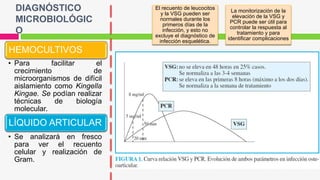 El recuento de leucocitos
y la VSG pueden ser
normales durante los
primeros días de la
infección, y esto no
excluye el diagnóstico de
infección esquelética.
La monitorización de la
elevación de la VSG y
PCR puede ser útil para
controlar la respuesta al
tratamiento y para
identificar complicaciones
HEMOCULTIVOS
• Para facilitar el
crecimiento de
microorganismos de difícil
aislamiento como Kingella
Kingae. Se podían realizar
técnicas de biología
molecular.
LÍQUIDO ARTICULAR
• Se analizará en fresco
para ver el recuento
celular y realización de
Gram.
DIAGNÓSTICO
MICROBIOLÓGIC
O
 