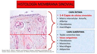 Artritis septica | PPTX