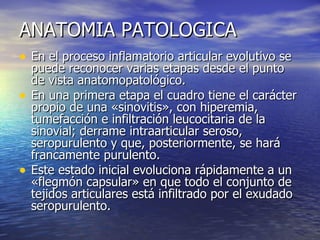 ANATOMIA PATOLOGICA En el proceso inflamatorio articular evolutivo se puede reconocer varias etapas desde el punto de vista anatomopatológico.  En una primera etapa el cuadro tiene el carácter propio de una «sinovitis», con hiperemia, tumefacción e infiltración leucocitaria de la sinovial; derrame intraarticular seroso, seropurulento y que, posteriormente, se hará francamente purulento.  Este estado inicial evoluciona rápidamente a un «flegmón capsular» en que todo el conjunto de tejidos articulares está infiltrado por el exudado seropurulento.  