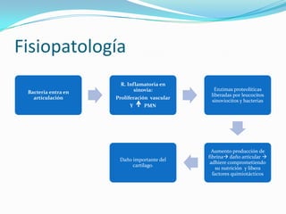  Bacilos gram- aerobios.