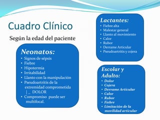  Neisseria gonorrhoeae.Inmunosuprimidos– drogadictos IV: Bacilos gram- aerobiosPseudomona y serratia2 Años - adultos:S.aureus, Estreptococus del grupo B