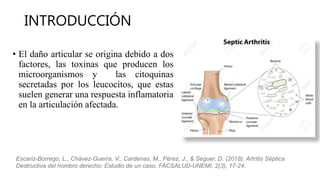 Artritis séptica de la rodilla, Álvarez López