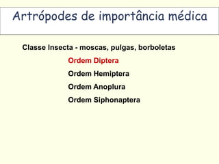 Artrópodes de importância médica
Classe Insecta - moscas, pulgas, borboletas
Ordem Diptera
Ordem Hemiptera
Ordem Anoplura
Ordem Siphonaptera
 