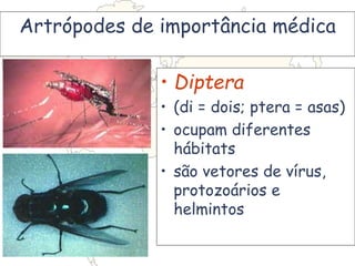 Artrópodes de importância médica
• Diptera
• (di = dois; ptera = asas)
• ocupam diferentes
hábitats
• são vetores de vírus,
protozoários e
helmintos
 
