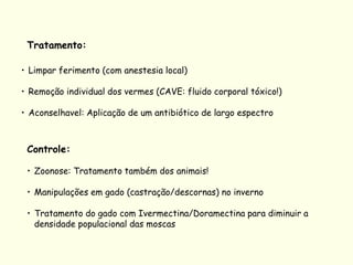 Tratamento:
• Limpar ferimento (com anestesia local)
• Remoção individual dos vermes (CAVE: fluido corporal tóxico!)
• Aconselhavel: Aplicação de um antibiótico de largo espectro
Controle:
• Zoonose: Tratamento também dos animais!
• Manipulações em gado (castração/descornas) no inverno
• Tratamento do gado com Ivermectina/Doramectina para diminuir a
densidade populacional das moscas
 