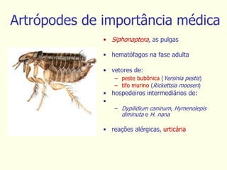 Artrópodes de importância médica
• Siphonaptera, as pulgas
• hematófagos na fase adulta
• vetores de:
– peste bubônica (Yersinia pestis)
– tifo murino (Rickettsia mooseri)
• hospedeiros intermediários de:
•
– Dypilidium caninum, Hymenolepis
diminuta e H. nana
• reações alérgicas, urticária
 