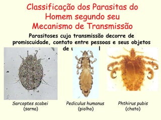 Parasitoses cuja transmissão decorre de
promiscuidade, contato entre pessoas e seus objetos
de uso pessoal
Classificação dos Parasitas do
Homem segundo seu
Mecanismo de Transmissão
Sarcoptes scabei
(sarna)
Pediculus humanus
(piolho)
Phthirus pubis
(chato)
 