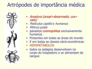 Artrópodes de importância médica
 Anoplura (anopl=desarmado; ura=
rabo)
 Pediculus capitis e humanus
 Pthirus pubis
 parasitos cosmopolitas exclusivamente
humanos
 Presentes em todas as áreas do mundo
 E em todas as classes sócio-econômicas
 HEMIMETÁBOLOS
 todos os estágios desenvolvem no
corpo do hospedeiro e se alimentam de
sangue
 