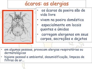 ácaros: as alergias
• os ácaros da poeira são de
vida livre
• vivem na poeira doméstica
• especialmente em locais
quentes e úmidos
• carregam alergenos em seus
corpos, secreções e dejetos
• em algumas pessoas, provocam alergias respiratórias ou
dermatológicas
• higiene pessoal e ambiental, desumidificação, limpeza de
filtros de ar...
 