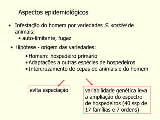 Aspectos epidemiológicos
• Infestação do homem por variedades S. scabiei de
animais:
• auto-limitante, fugaz
• Hipótese - origem das variedades:
• Homem: hospedeiro primário
• Adaptações a outras espécies de hospedeiros
• Intercruzamento de cepas de animais e do homem
evita especiação variabilidade genética leva
a ampliação do espectro
de hospedeiros (40 ssp de
17 famílias e 7 ordens)
 
