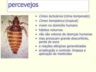 • Cimex lectularius (clima temperado)
• Cimex hemipterus (tropical)
• vivem no domicílio humano
• hábitos noturnos
• não são vetores de doenças humanas
• mas provocam grande desconforto,
perda de sono
• e reações alérgicas generalizadas
• erradicação e controle: limpeza e
aplicação de inseticidas
percevejos
 