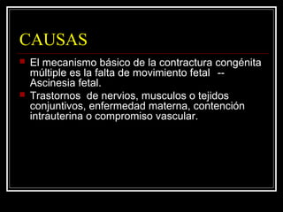 CAUSAS
 El mecanismo básico de la contractura congénita
múltiple es la falta de movimiento fetal --
Ascinesia fetal.
 Tr...