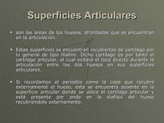 Superficies Articulares <ul><li>son las áreas de los huesos, afrontadas que se encuentran en la articulación.  </li></ul><...