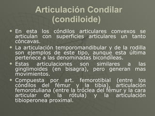 Articulación Condilar (condiloide)  <ul><li>En esta los cóndilos articulares convexos se articulan con superficies articul...