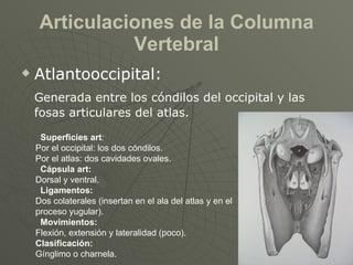 Articulaciones de la Columna Vertebral <ul><li>Atlantooccipital: </li></ul><ul><li>Generada entre los cóndilos del occipit...