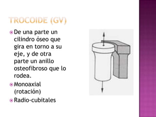  De  una parte un
  cilindro óseo que
  gira en torno a su
  eje, y de otra
  parte un anillo
  osteofibroso que lo
  rodea.
 Monoaxial
  (rotación)
 Radio-cubitales
 