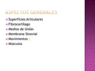  Superficies Articulares
 Fibrocartílago
 Medios de Unión
 Membrana Sinovial
 Movimientos ir
 Músculos
 