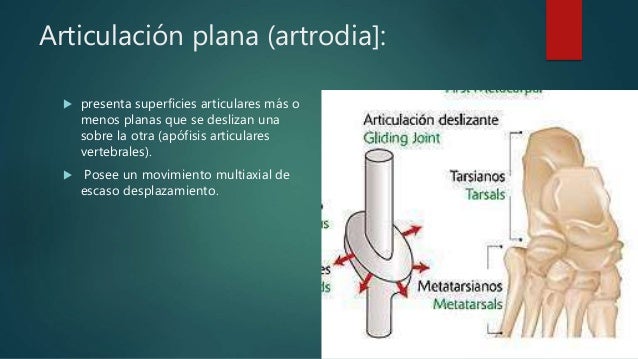 Artrolog a Artrolog a