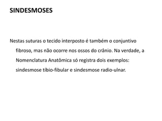 ANFIARTROSAS OU CARTILAGINOSAS Nas articulações cartilaginosas os ossos são unidos por cartilagem pelo fato de pequenos movimentos serem possíveis nestas articulações. São elas: SINCONDROSES, SINFESES e DIARTROSES OU SINOVIAL. 