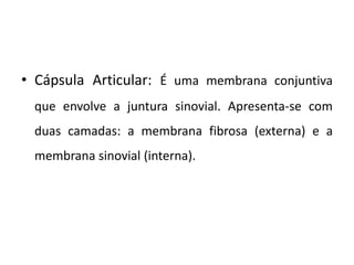Cápsula Articular: É uma membrana conjuntiva que envolve a juntura sinovial. Apresenta-se com duas camadas: a membrana fibrosa (externa) e a membrana sinovial (interna). 