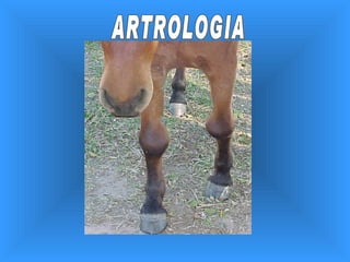 Artrologia