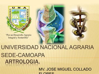 UNIVERSIDAD NACIONAL AGRARIA  SEDE-CAMOAPA ARTROLOGIA. MV. JOSE MIGUEL COLLADO FLORES 