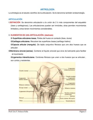 ARTROLOGÍA
La artrología es el estudio científico de la articulación. Se le denomina también sindesmologÌa.


ARTICULACIÓN
I. DEFINICIÓN: Se denomina articulación a la unión de 2 ò más componentes del esqueleto
  (óseo y cartilaginoso). Las articulaciones pueden ser inmóviles, otras permiten movimientos
  limitados y otras tienen movimientos considerables.


II. ELEMENTOS DE UNA ARTICULACIÓN: (diartrosis)
   Superficies articulares óseas. Partes del hueso en contacto (lisas, duras)
  Cartílagos articulares. Recubren las superficies óseas.(cartílago hialino)
  Capsula articular (manguito) ,De tejido conjuntivo fibrosos que une alos huesos que se
  articulan
Membrana sinovial.(serosa). Contiene el líquido sinovial que sirve de lubricante para facilitar
    el movimiento
  Ligamentos interarticulares. Cordones fibrosos que unen a dos huesos que se articulan ,
  son cortos y resistentes.




Prof. Cris Y. Velasco Falla                                                              Página 1
 