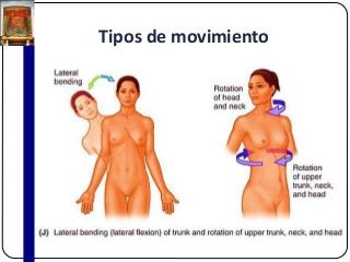 Tipos de movimiento
 