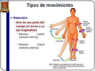 Tipos de movimiento
 Rotación:
Giro de una parte del
cuerpo en torno a su
eje longitudinal.
 Rotación medial
(rotación interna).
 Rotación lateral
(rotación externa).
 