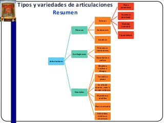 Tipos y variedades de articulaciones
Resumen
Articulaciones
Fibrosas
Suturas
Plana
(armónica)
Escamosa
(biselada)
Dentada
(serrada)
Esquindelesis
Sindesmosis
Gónfosis
Cartilaginosas
Primarias o
sincondrosis
Secundarias o
sínfisis
Sinoviales
Gínglimo,
troclear o
bisagra
Trocoide o
pivote
En silla de
montar, selar o
encaje recíproco
Elipsoidea o
condílea
Plana o artrodia
Esferoidea,
esférica o
enartrosis
 
